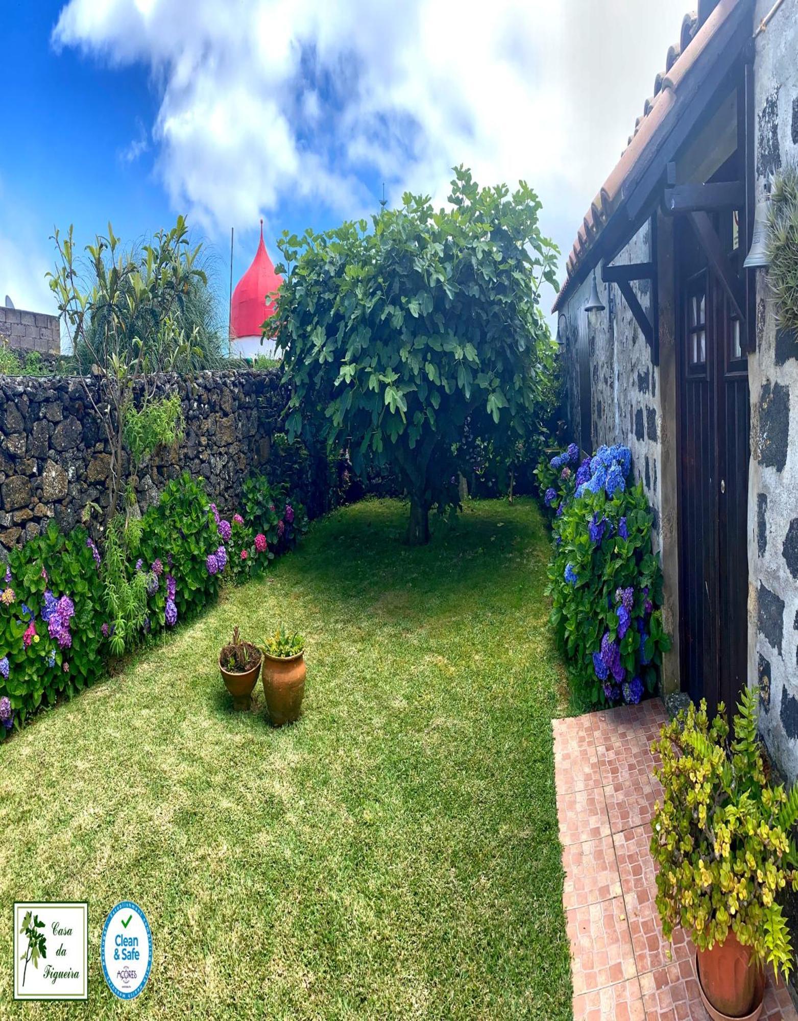 Alojamento Casa Da Figueira Ponta Delgada Exteriér fotografie